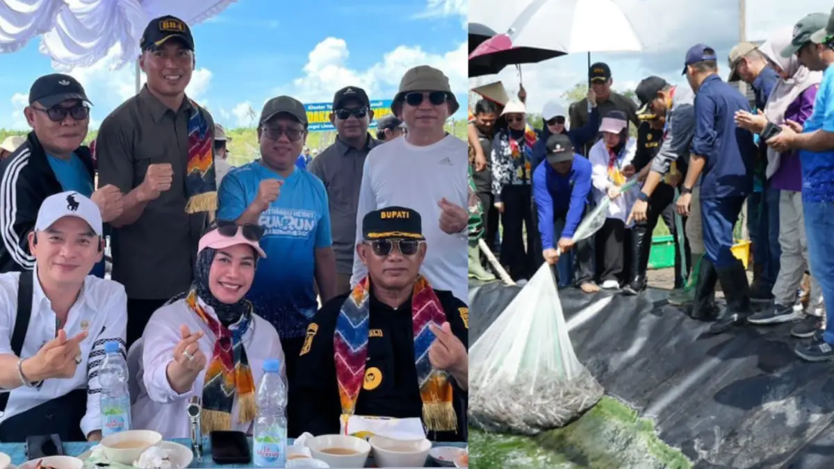 PANEN: Saat berlangsungnya panen udang vaname di Desa Sungai Limau Kecamatan Pulau Laut Timur.