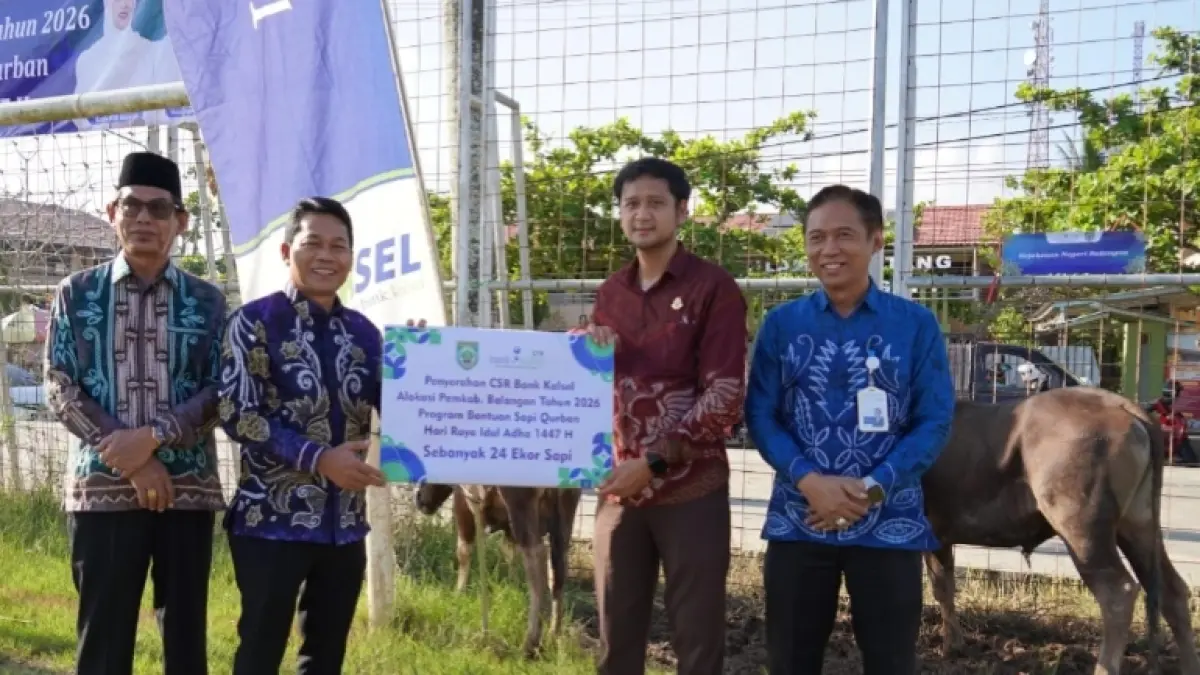 PROGRAM CSR: Penyerahan sapi kurban Bank Kalsel di Kabupaten Balangan.(Foto: Bank Kalsel)&nbsp;

