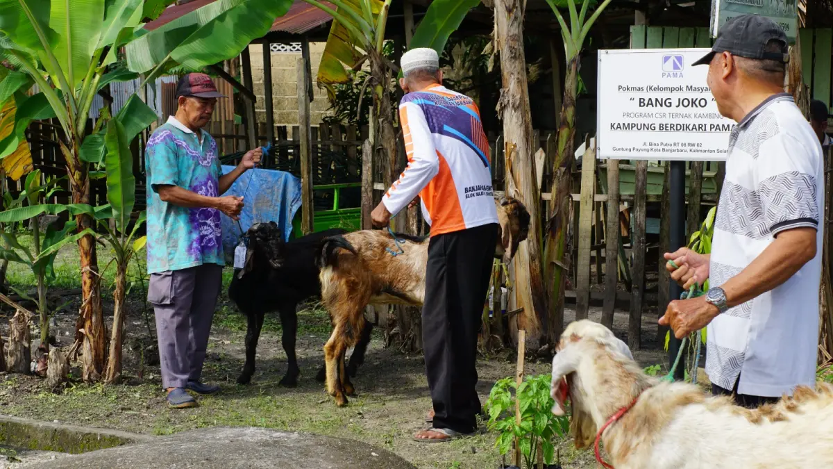 SERAH TERIMA: Perwakilan penerima hewan qurban melakukan serah terima bantuan hewan kurban. 