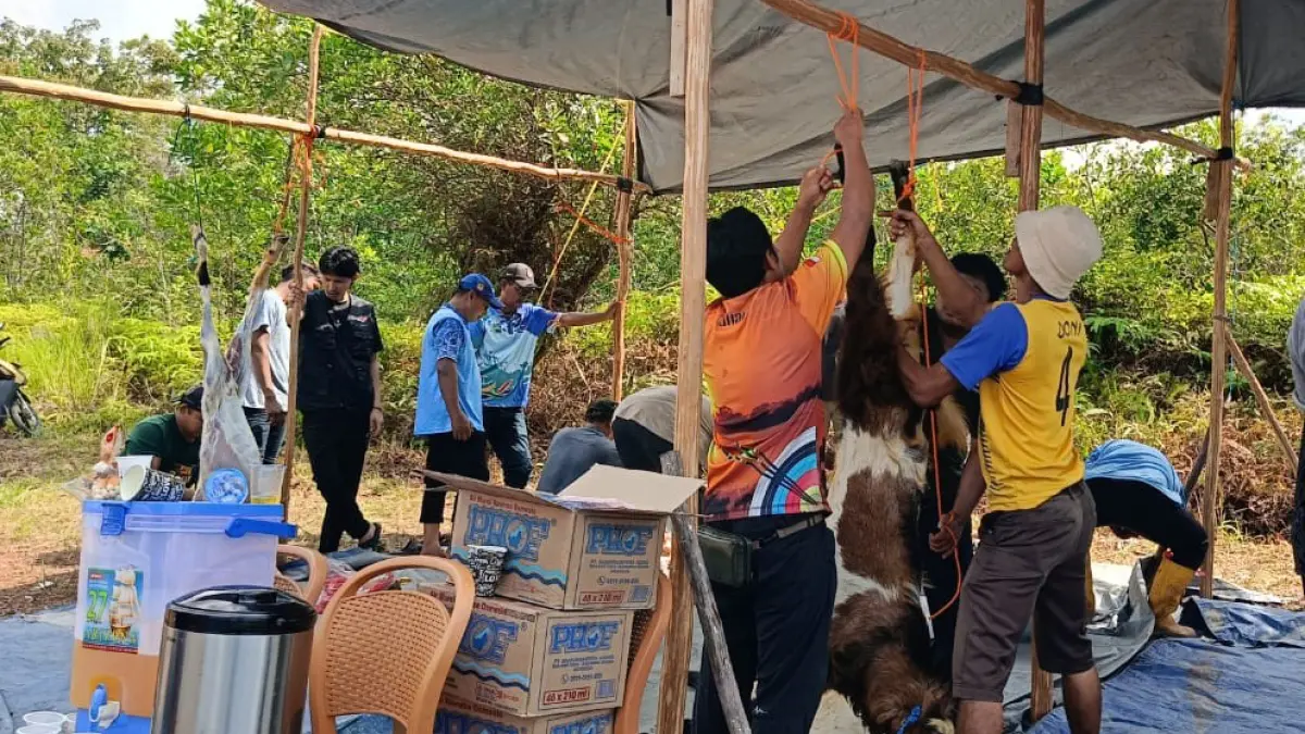 SEMBELIH: NPCI Kalsel menyembelih dua ekor sapi dan tiga ekor kambing.