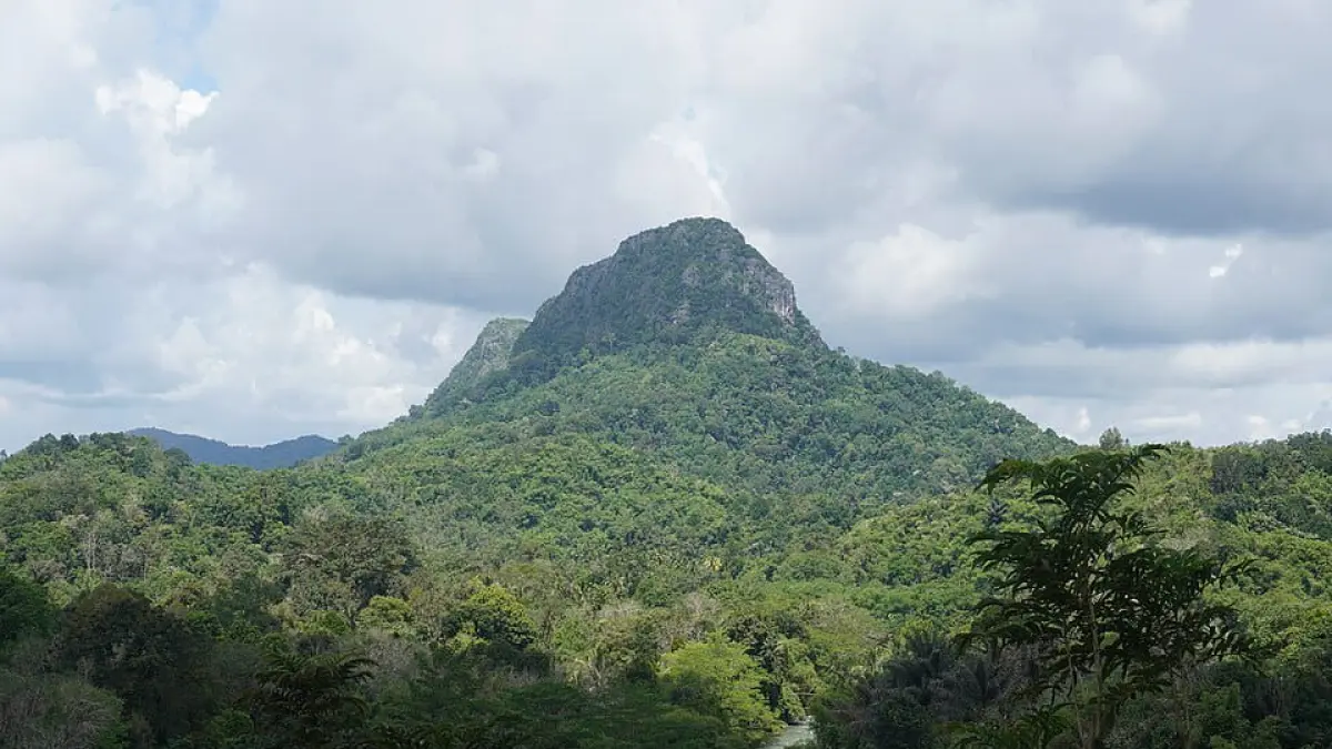 HUTAN: Kawasan hutan di Kabupaten Hulu Sungai Selatan. (Foto: Wikipedia).&nbsp;