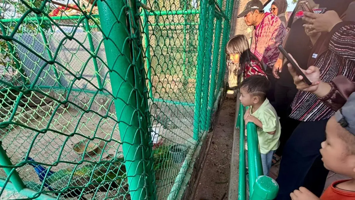 EDUKASI: Sejumlah anak-anak menyaksikan keberadaan satwa burung merak di Taman Edukasi Jahri Saleh Banjarmasin.