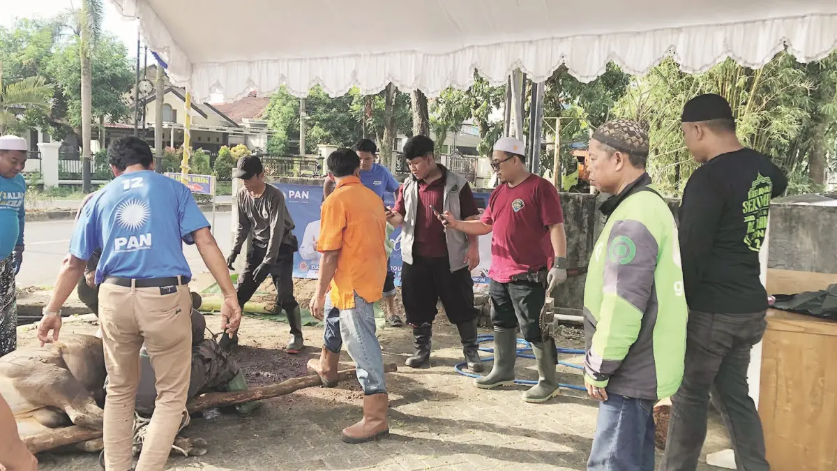 SEMBELIH: Pelaksanaan penyembelihan sapi kurban yang dilaksanakan komunitas ojol di Banjarbaru.&nbsp;
(Foto: Sheilla Farazela/Radar Banjarmasin)