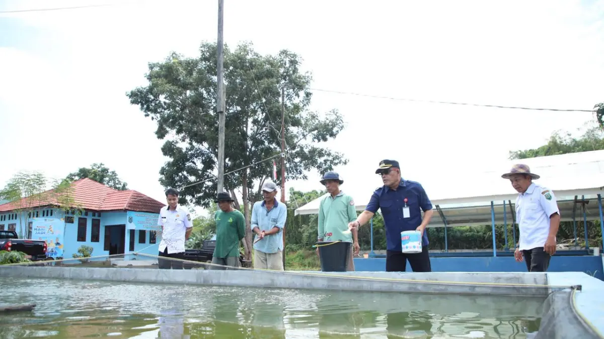 SEKTOR PERIKANAN: Bupati Kabupaten HSU, H Sahrujani Unit Pelaksana Teknis Daerah Balai Benih Ikan (UPTD BBI) Lokal di Kecamatan Banjang, Rabu (3/6/2026).(Foto: Pemkab HSU)&nbsp;