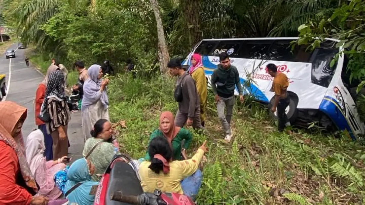 INSIDEN: Sebuah bis yang membawa rombongan wisatawan terbalik setelah diduga tidak kuat menanjak sehingga keluar jalur ke semak-semak di Dusun Muara Hatib, Desa Hulu Banyu, Kecamatan Loksado, Kabupaten HSS, Sabtu (6/6/2026).(Foto: Grup Whatsapp Emergency)&nbsp;