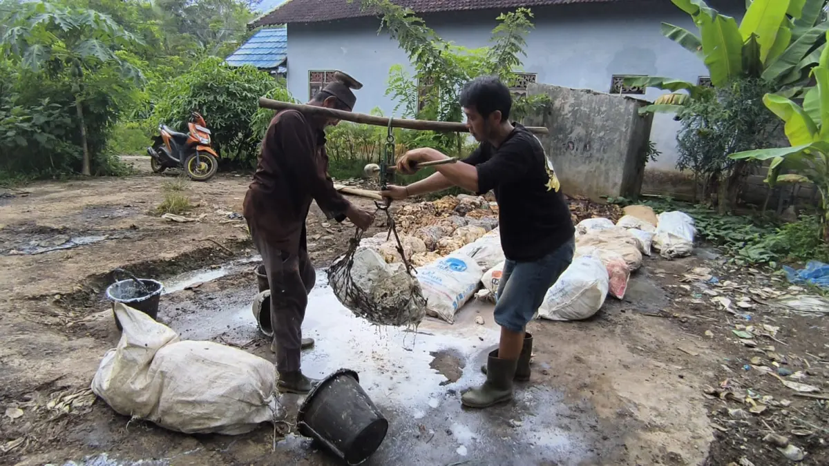 TIMBANG KARET: Petani di Kabupaten Balangan saat menimbang getah karet (lum) hasil sadapan sebelum dijual kepada pengepul. Harga jual karet saat ini meroket hingga Rp15 ribu per kilogram. (Foto: M Dirga / Radar Banjarmasin)