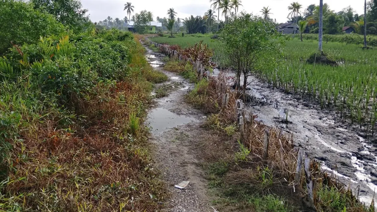 HENDAK DIBENAHI: Kondisi Jalan Simpang Sungai Jelai di Kelurahan Mantuil, Kecamatan Banjarmasin Selatan yang selama ini dikeluhkan warga karena rusak dan kerap terdampak pasang surut air.