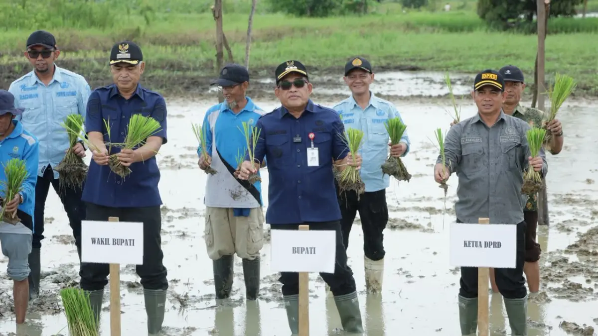 MOMEN: Bupati HSU dan Wakil Bupati HSU, H Sahrujani dan Hero Setiawan menghadiri tanam padi perdana di Desa Cempaka, Kecamatan Amuntai Selatan, Selasa (10/6/2026).(Foto: Pemkab HSU)