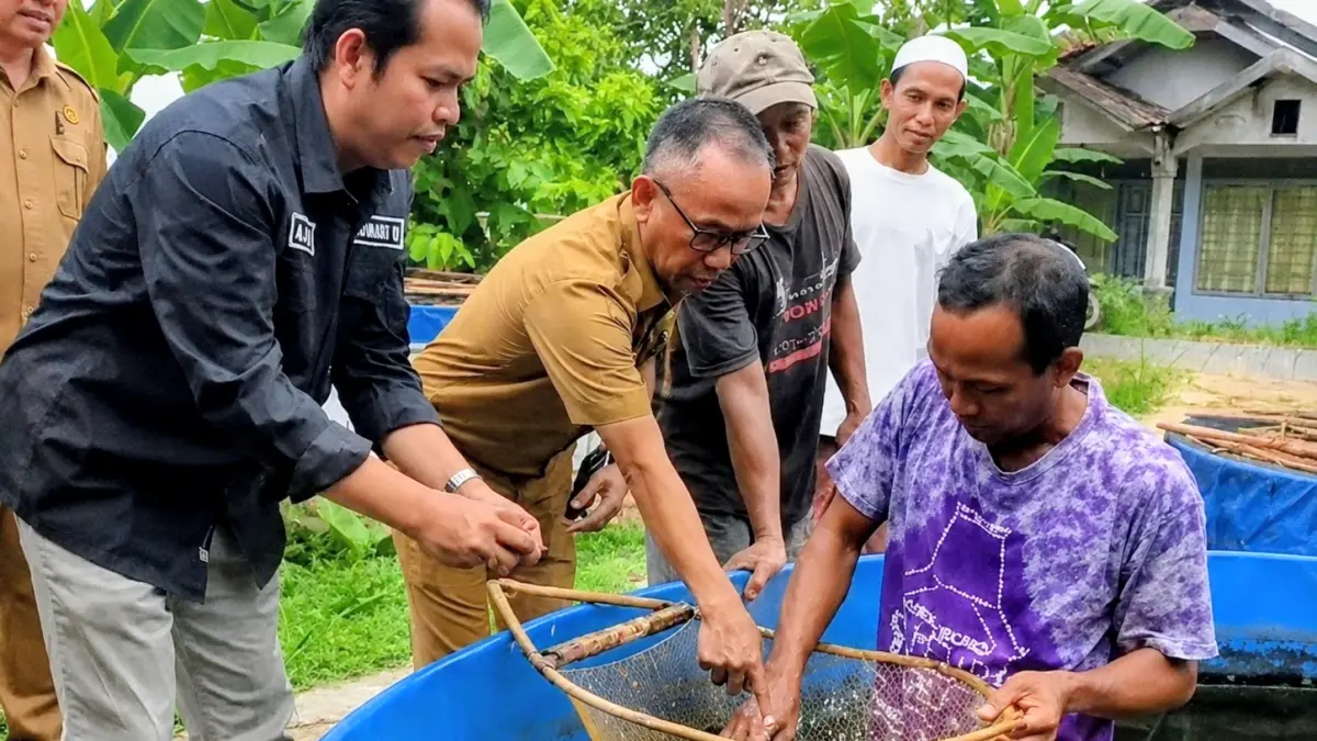Anggota Komisi II DPRD Kabupaten Banjar M. Zaini (kemeja hitam) saat menghadiri panen perdana budidaya kolam bundar di Desa Lok Baintan Luar, Kecamatan Sungai Tabuk. (FADLAN ZAKIRI/RADAR BANJARMASIN)