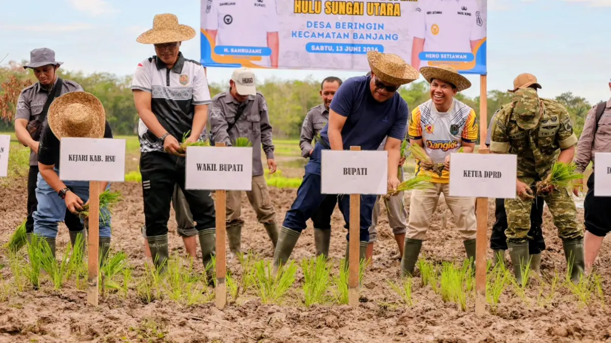 PERTANIAN: Bupati dan Wakil Bupati Kabupaten HSU, H Sahrujani dan Hero Setiawan, beserta Forkopimda kompak menanam padi di sawah di Desa Beringin, Kecamatan Banjang.(Foto: Pemkab HSU)&nbsp;