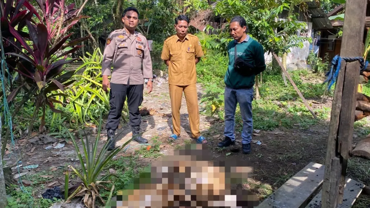 TEWAS: Beberapa domba warga di HST tak berdaya imbas diserang hewan liar.
