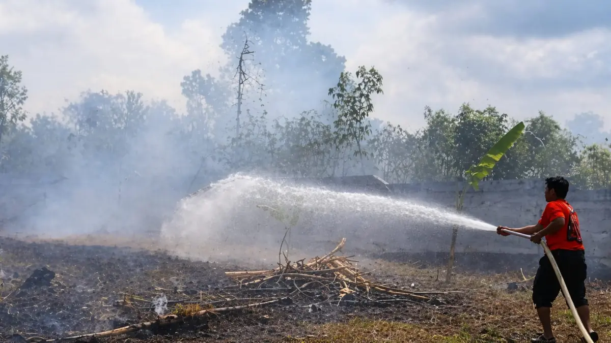 PEMADAMAN: Petugas melakukan pemadaman kebakaran lahan untuk mencegah api meluas saat musim kemarau di Kabupaten Tanah Bumbu. (Foto: BPBD Tanah Bumbu)