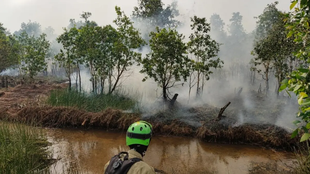 PADAMKAN API: Kalsel bersama lima daerah lain memiliki tingkat kerawanan tinggi Karhutla karena karakteristrik lahan gambut. | Foto: FADLAN ZAKIRI/RADAR BANJARMASIN