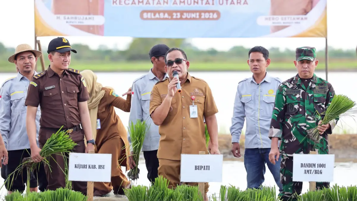 TANAM PADI: Bupati dan Wakil Bupati Kabupaten HSU, H Sahrujani dan Hero Setiawan dan unsur Forkopimda mengikuti kegiatan tanam padi bersama di Desa Murung Karangan, Kecamatan Amuntai Utara, Selasa (23/6/2026).(Foto: Pemkab HSU)