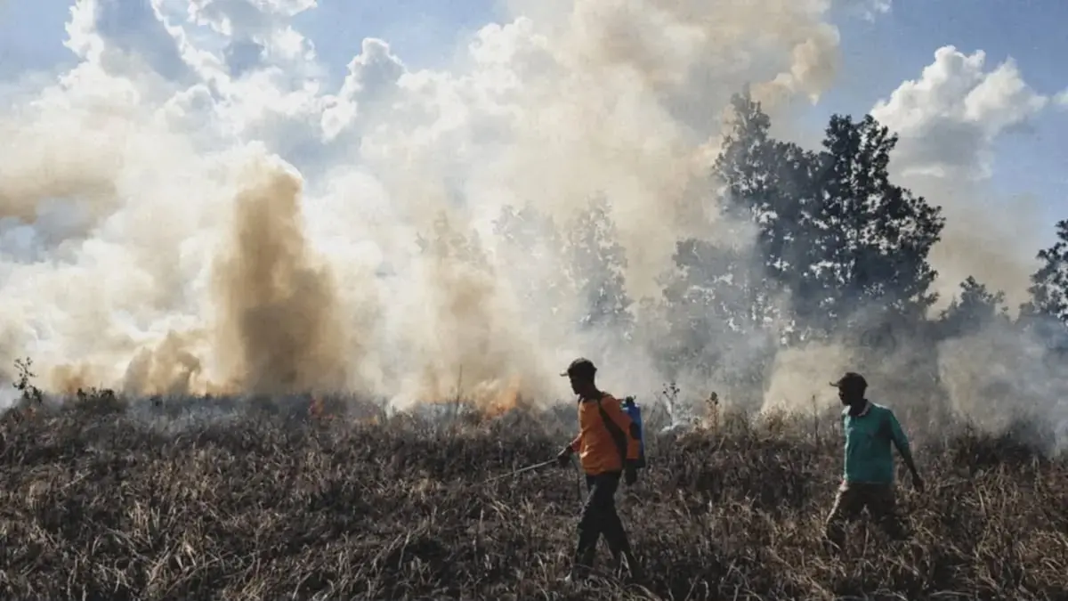 SEMPROT: Relawan Masyarakat Peduli Api Liang Anggang memadamkan api yang membakar lahan gambut di wilayah Pengayuan, Landasan Ulin Selatan, Kota Banjarbaru tahun 2023 lalu. (FADLAN ZAKIRI/RADAR BANJARMASIN)