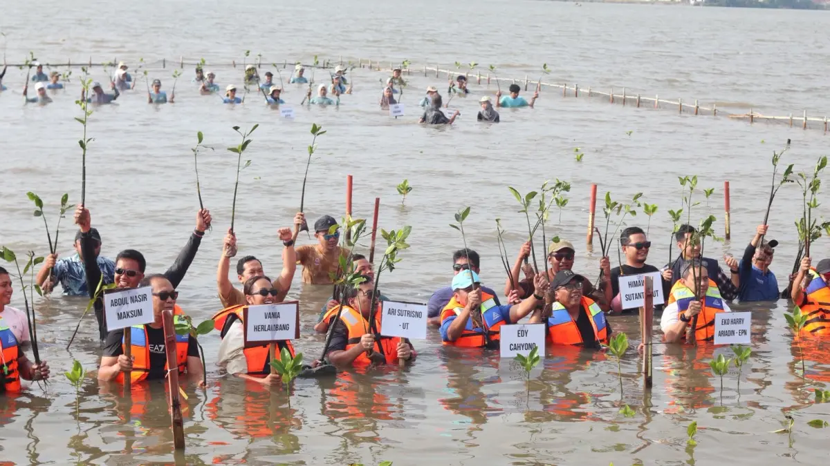 TANAM MANGROVE: Direktur PAMA Abdul Nasir Maksum bersama jajaran direksi dan mahasiswa Universitas Negeri Semarang (UNNES) melakukan penanaman bibit mangrove di kawasan pesisir Mangunharjo, Semarang, Rabu (24/6/2026).