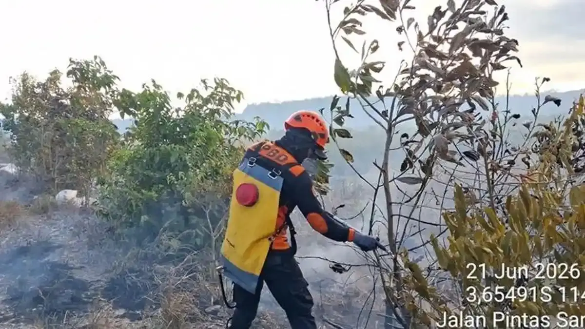 MUNCUL : Petugas dari BPBD Tala saat memadamkan api di sebuah lahan di Desa Pulau Sari, Kecamatan Tambang Ulang. (Foto : BPBD Tala untuk Radar Banjarmasin)