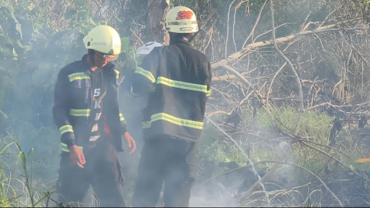 KARHUTLA: Petugas pemadam kebakaran bahu-membahu menjinakkan kobaran api yang melahap lahan perkebunan di kawasan Cindai Alus, Kabupaten Banjar.