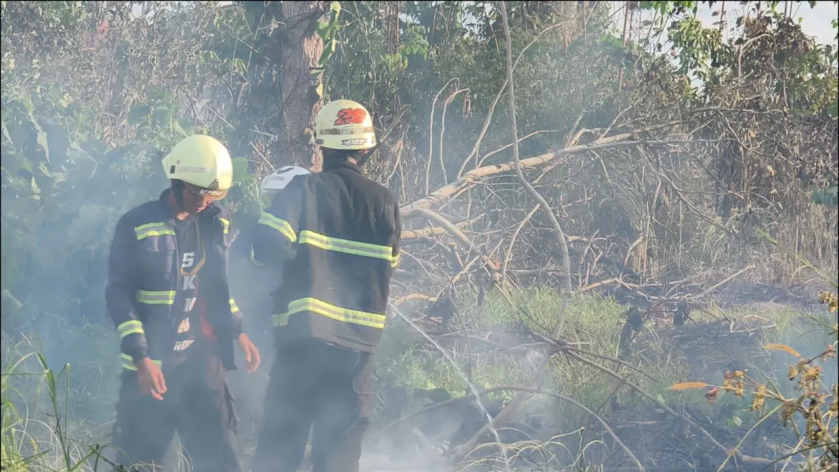 KARHUTLA: Petugas pemadam kebakaran bahu-membahu menjinakkan kobaran api yang melahap lahan perkebunan di kawasan Cindai Alus, Kabupaten Banjar, (Foto: FADLAN ZAKIRI/RADAR BANJARMASIN)