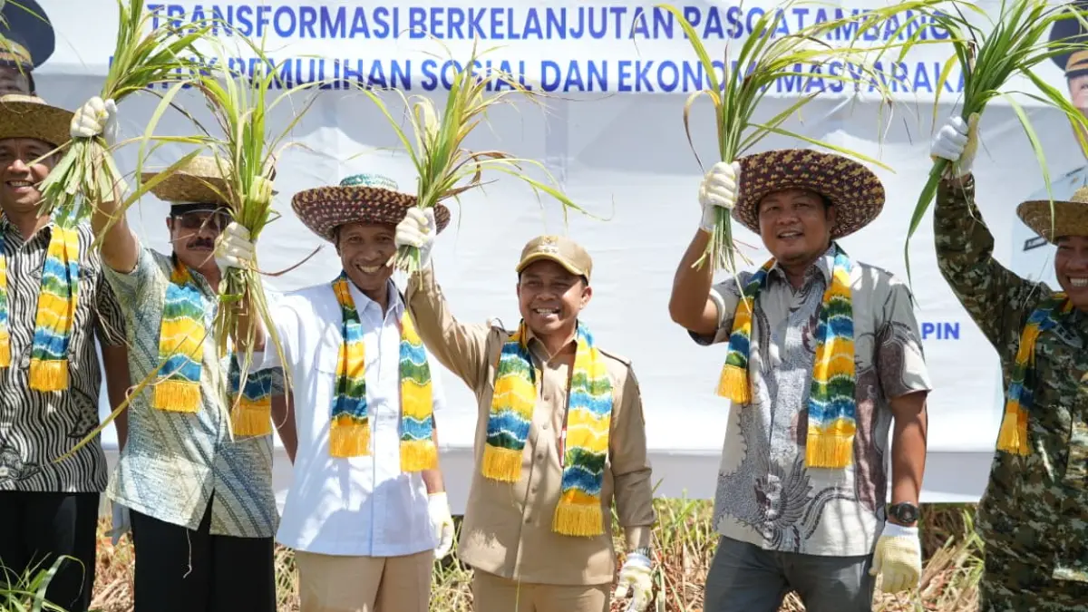  Pemerintah Kabupaten Tapin 