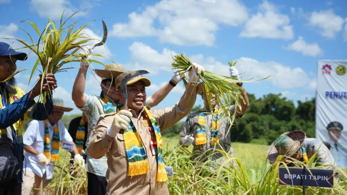  Pemerintah Kabupaten Tapin 