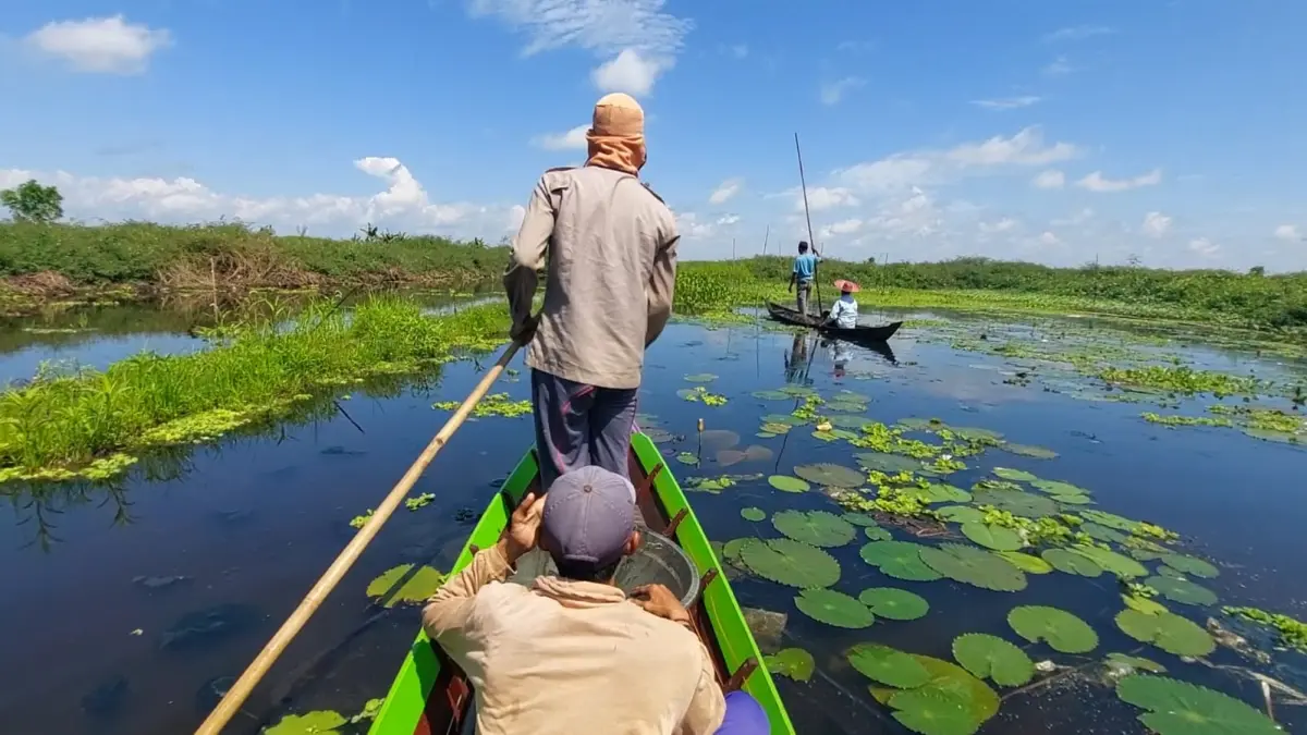 PRODUKTIF: Perairan rawa di Desa Pajukungan Hulu, Kecamatan Babirik, menjadi lokasi anggota KUB Sapat Rawa mencari ikan sekaligus menopang perekonomian keluarga. (Foto: Istimewa)
