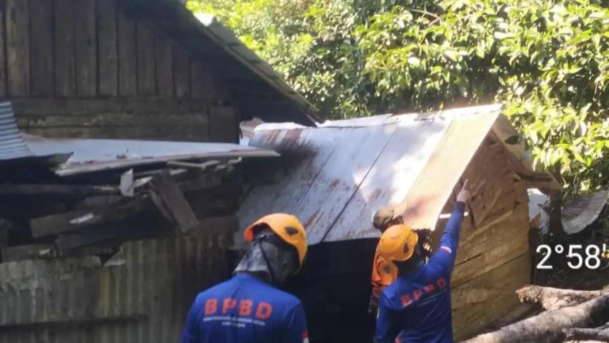 TUMBANG: Pohon Tumbang di Kecamatan Piani menimpa rumah milik warga. (Foto: Pusdalops BPBD Tapin)&nbsp;