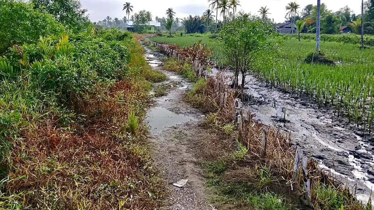 DILANJUTKAN: Kondisi Jalan Simpang Sungai Jelai di Kelurahan Mantuil yang rusak parah. Pemko Banjarmasin berencana melanjutkan pembangunan hingga Kuin Kacil untuk memperlancar akses masyarakat.(Foto: Endang Syarifuddin/Radar Banjarmasin)