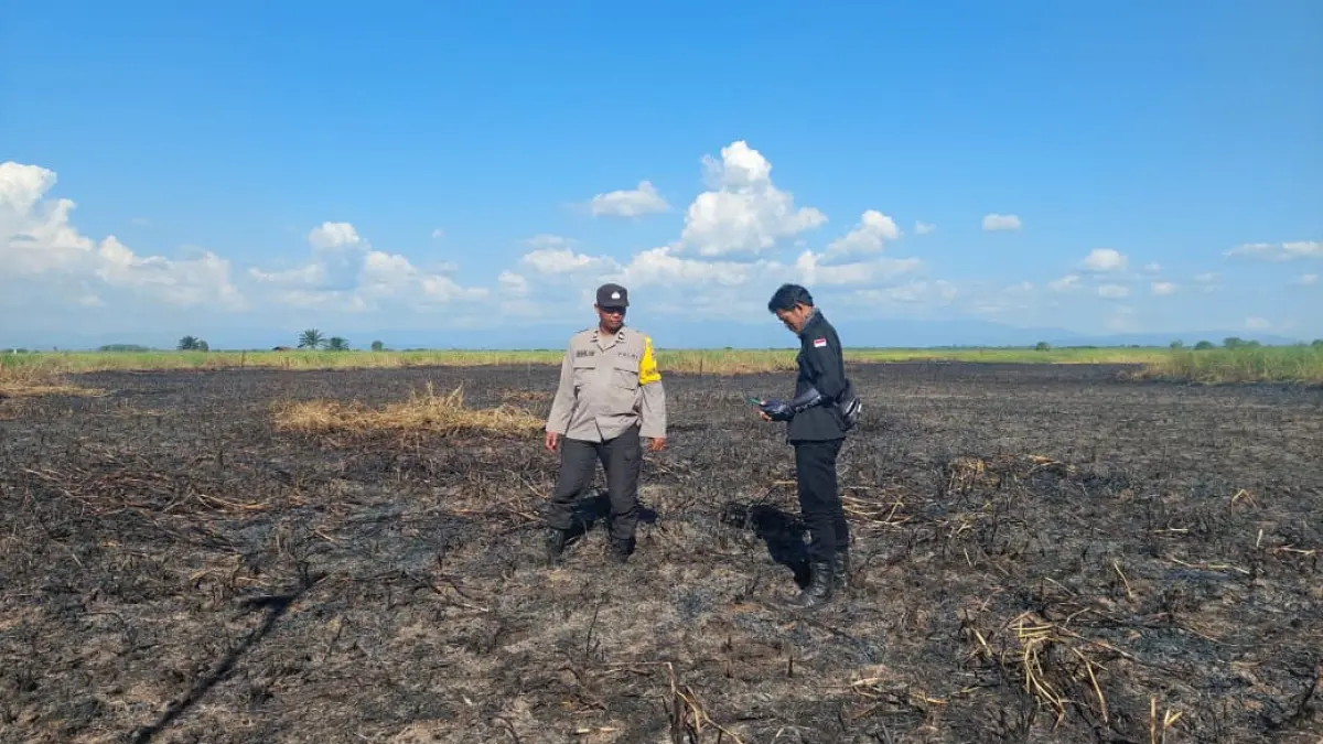 KARHUTLA: Lahan dan semak terbakar di Desa Pinangkara, Kecamatan Amuntai Tengah. Petugas memastikan api telah padam saat pengecekan lapangan. (Foto: Istimewa)