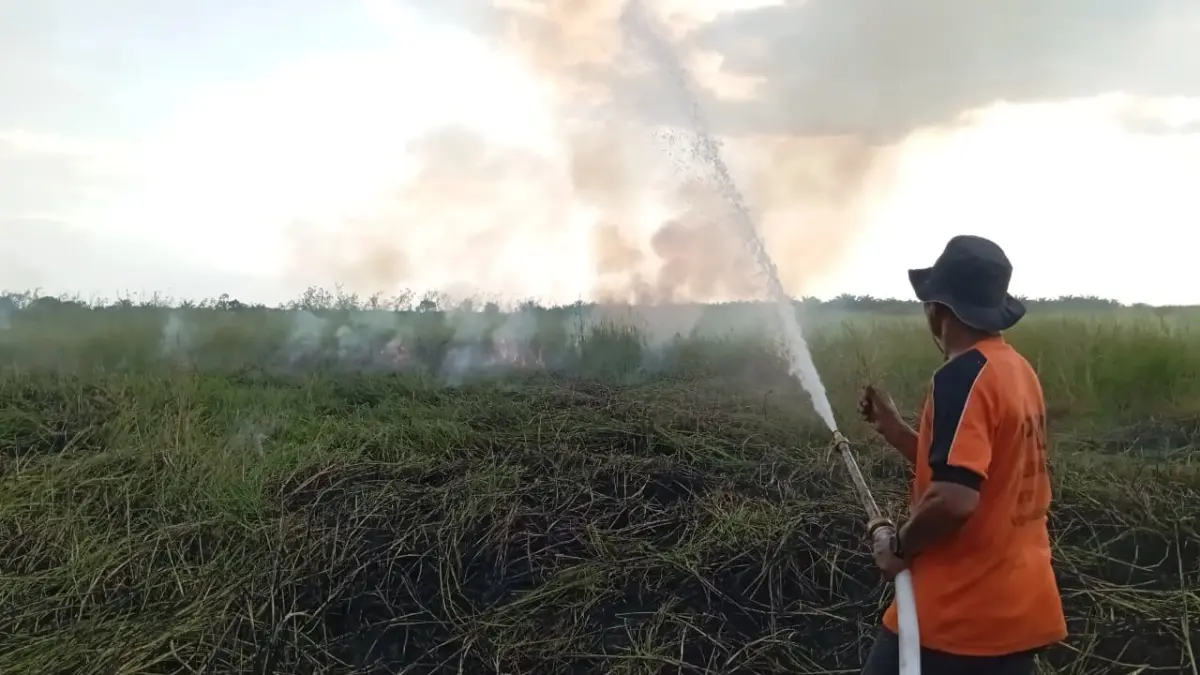 PEMADAMAN: Petugas gabungan memadamkan kebakaran lahan gambut yang melanda Desa Peramaian dan merembet ke Desa Pakan Dalam, Kecamatan Daha Utara. (Foto: BPBD HSS)
