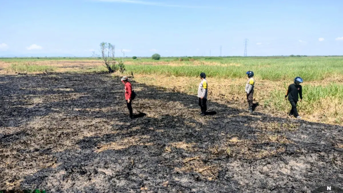 PENGECEKAN: Tim gabungan melakukan ground check titik hotspot di Desa Mawar Sari, Kecamatan Amuntai Tengah, Kamis (9/7). (Foto: Istimewa)