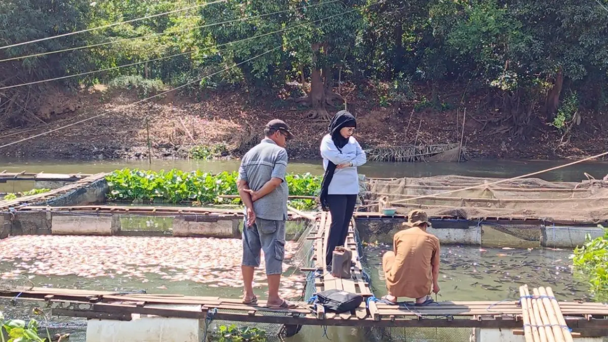 SELALU TERULANG: Kepala Desa Sungai Arfat, Iyan bersama pembudidaya ikan dan DPD Tani Merdeka Indonesia meninjau keramba jaring apung yang terdampak penurunan debit air. (Foto: Fadlan Zakiri/Radar Banjarmasin)