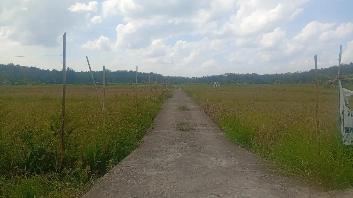 JALAN USAHA TANI: Salah satu jalan menuju kawasan sawah pertanian di HSS. (Foto: M. Padil Ihsan/Radar Banjarmasin)&nbsp;