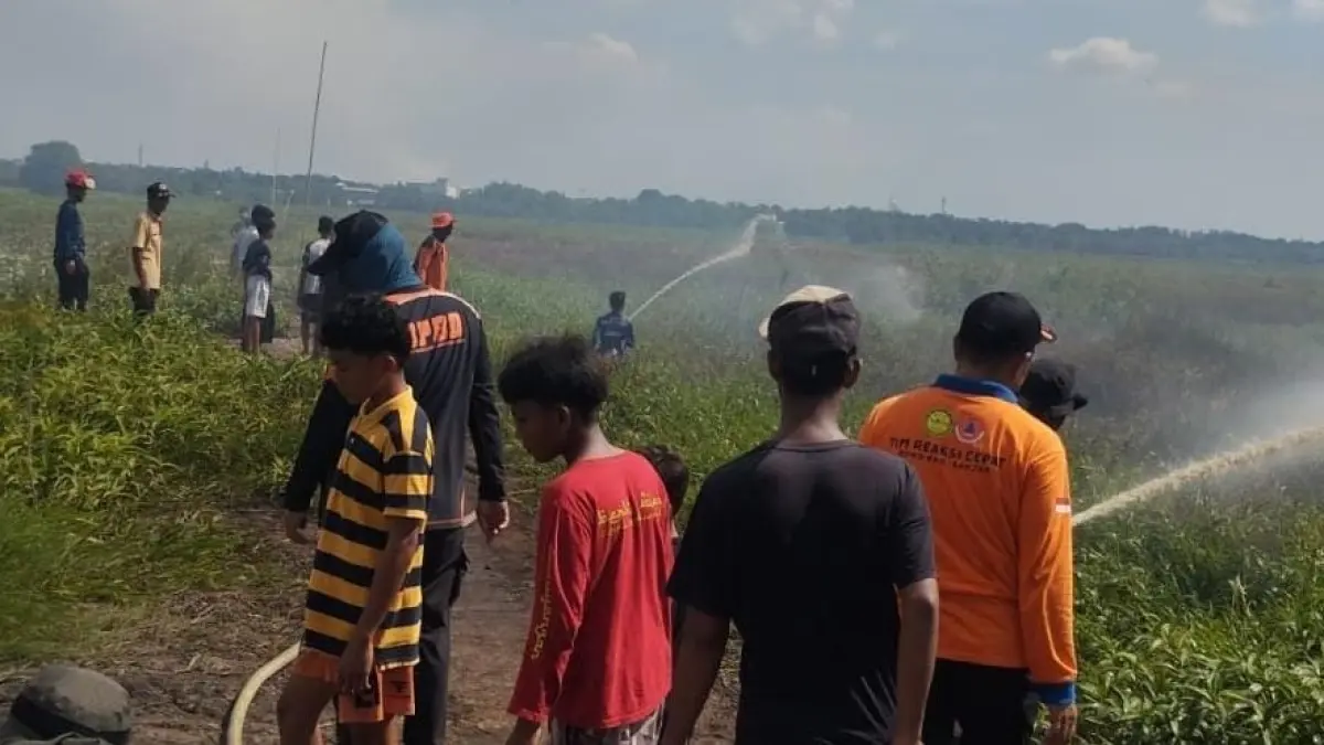 KARHUTLA: Petugas BPBD Kabupaten Banjar bersama relawan memadamkan kebakaran lahan semak belukar di Jalan Pesayangan, Martapura, Minggu (12/7/2026). (FADLAN ZAKIRI/RADAR BANJARMASIN)