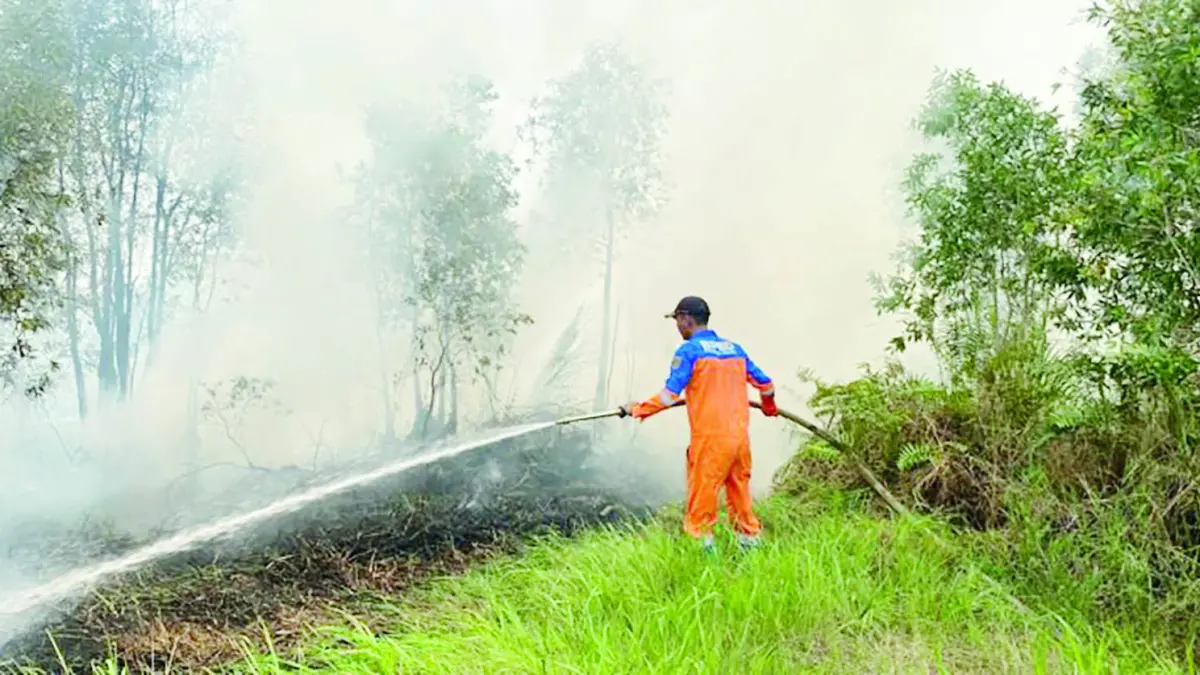 MEMADAMKAN: Petugas berjibaku memadamkan kebakaran hutan dan lahan (karhutla) di Banjarbaru, Sabtu (11/7).&nbsp;
(Foto: BPBD KALSEL)&nbsp;