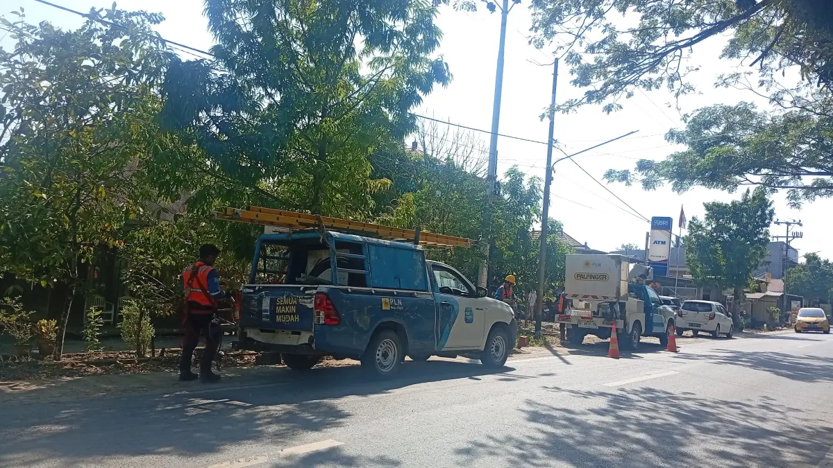  Petugas PLN lakukan pemeliharaan jaringan listrik di Kandangan, Senin (13/7/2026). (M. Padil Ihsan/Radar Banjarmasin)&nbsp;