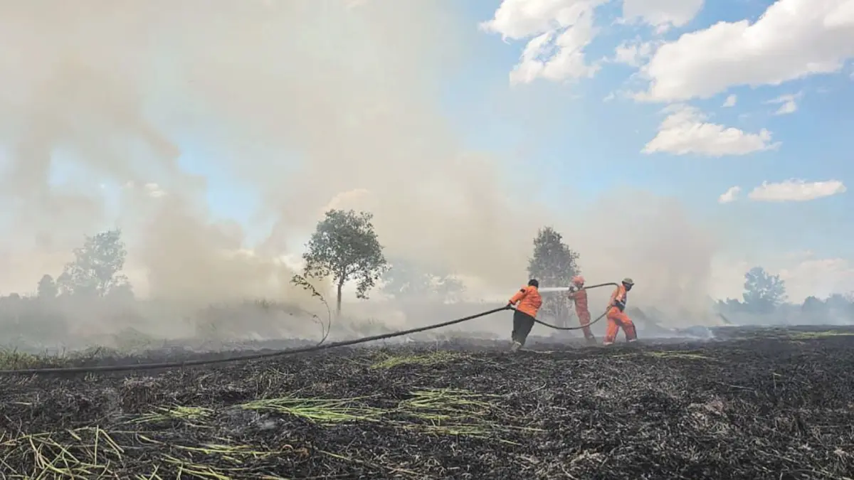 MEMADAMKAN: Petugas BPBD Banjarbaru saat berjibaku memadamkan kebakaran lahan.&nbsp;
(BPBD Banjarbaru untuk Radar Banjarmasin)