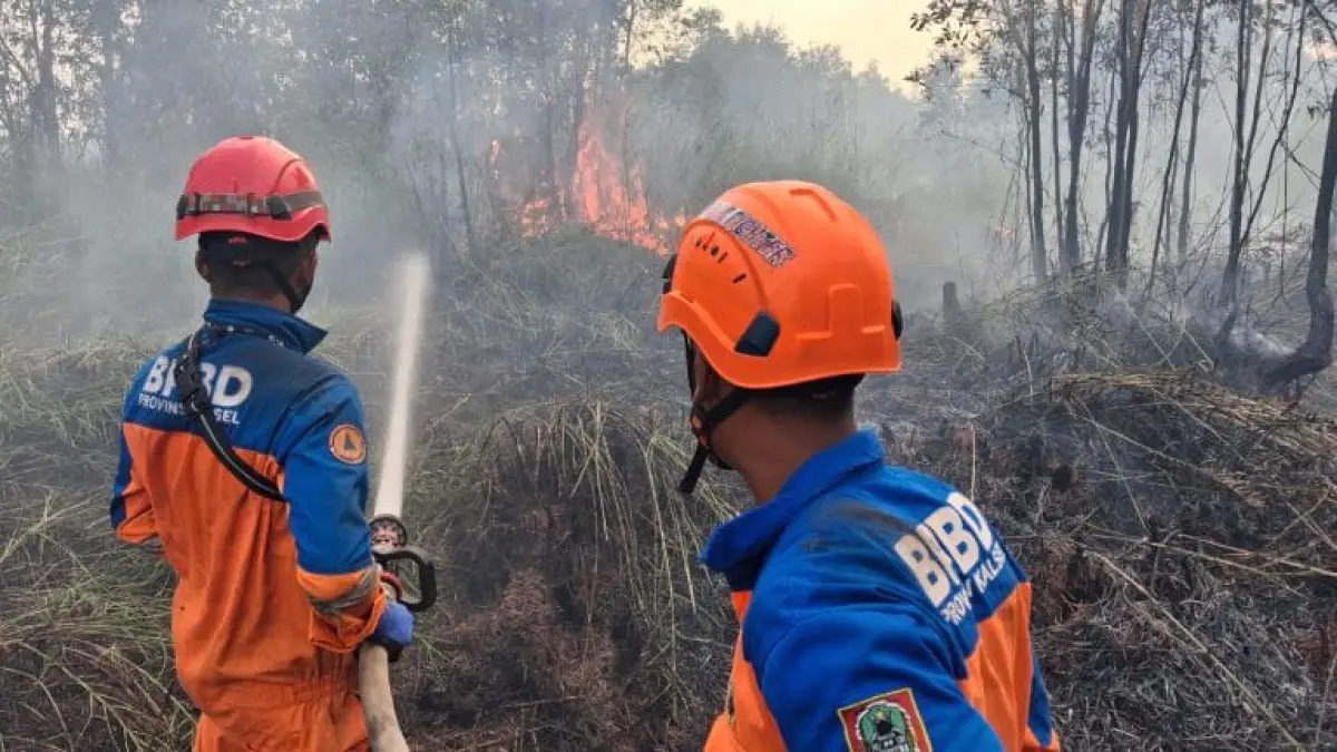 petugas bpbd saat memadamkan kebakaran hutan dan lahan (MC Kalsel untuk Radar Banjarmasin)