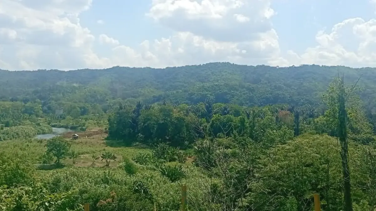 PANAS: Suasana musim kemarau di HSS.