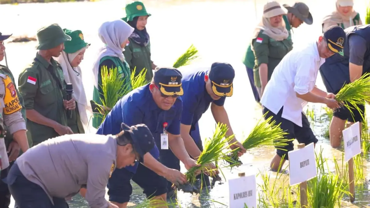 SIMBOLIS: Bupati dan Wakil Bupati Kabupaten HSU, H Sahrujani dan Hero Setiawan menanam padi di Desa Galagah, Kecamatan Sungai Tabukan sebagai upaya mempercepat musim tanam dan memperkuat ketahanan pangan, Rabu (15/7/2026).(Foto: Pemkab HSU)