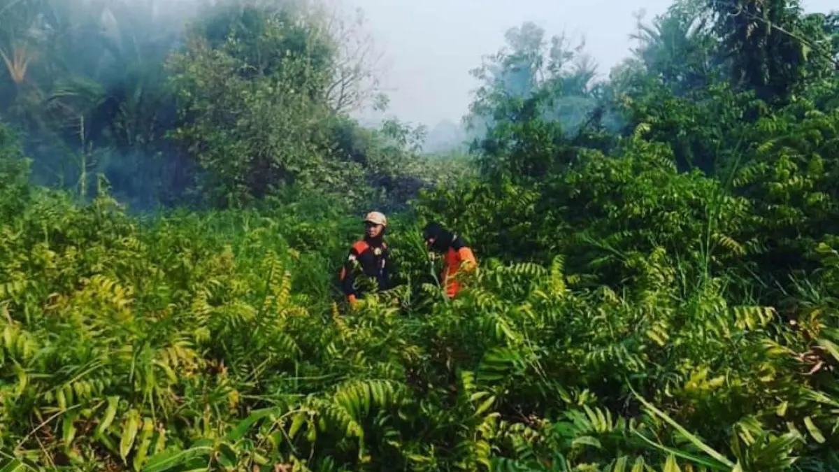 POSKO SIAGA KARHUTLA: Kawasan lahan di Basirih Selatan yang menjadi salah satu titik rawan kebakaran.