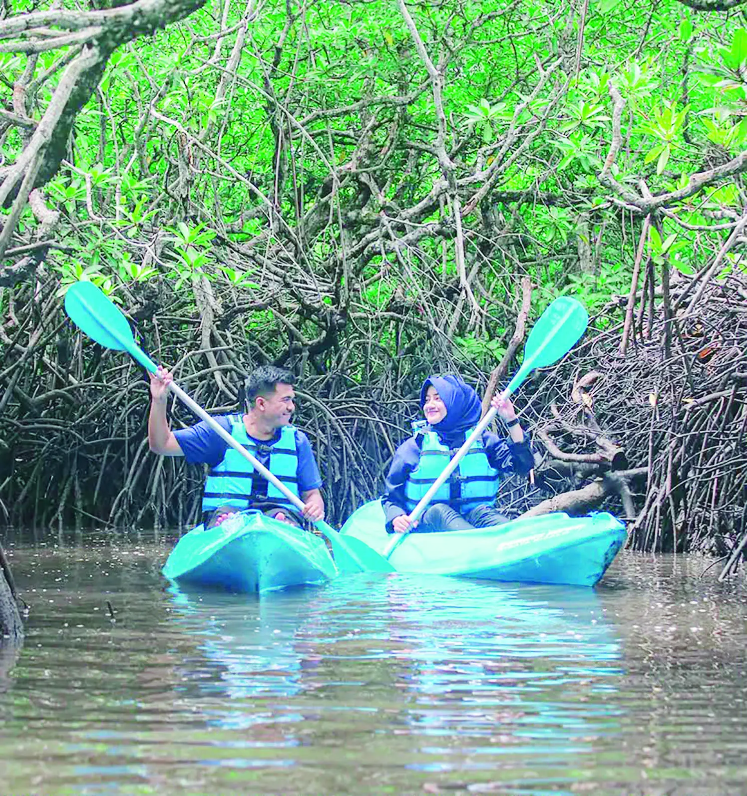 Hutan Mangrove