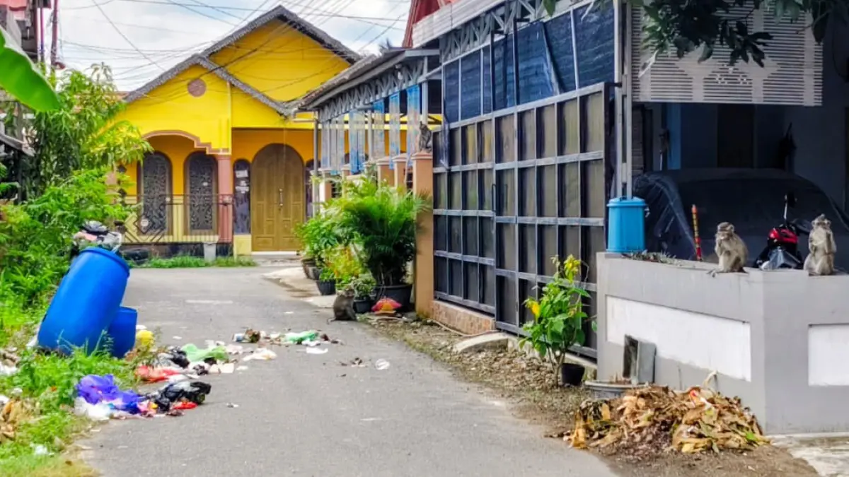 GANGGUAN: Kawanan monyet ekor panjang terlihat berkeliaran di kawasan Kompleks CPS 2, Kelurahan Sungai Malang, Amuntai Tengah.