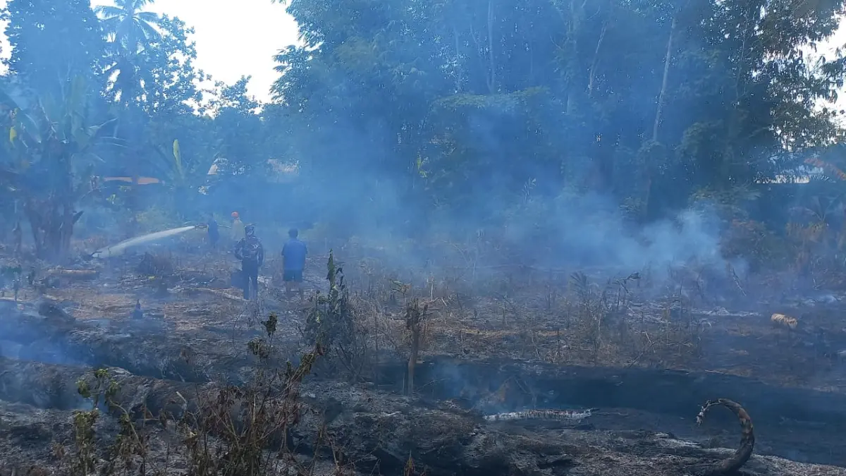 HANGUS: Kebakaran lahan di Desa Baluti, Kecamatan Kandangan menghanguskan 0,33 hektare lahan. (Foto: DAMKAR HSS)&nbsp;
