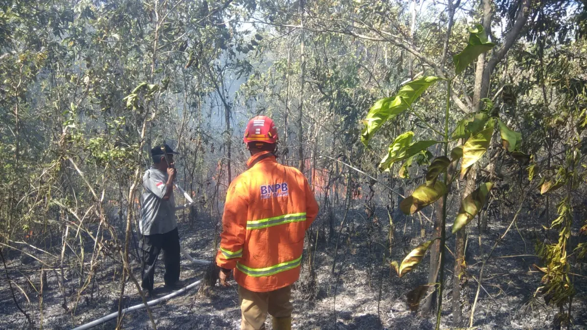 KEBAKARAN LAHAN: Petugas saat melakukan pemadaman karhutla di Telaga Langsat, Kabupaten HSS, Senin (20/7/2026).(Foto: BPBD HSS)&nbsp;