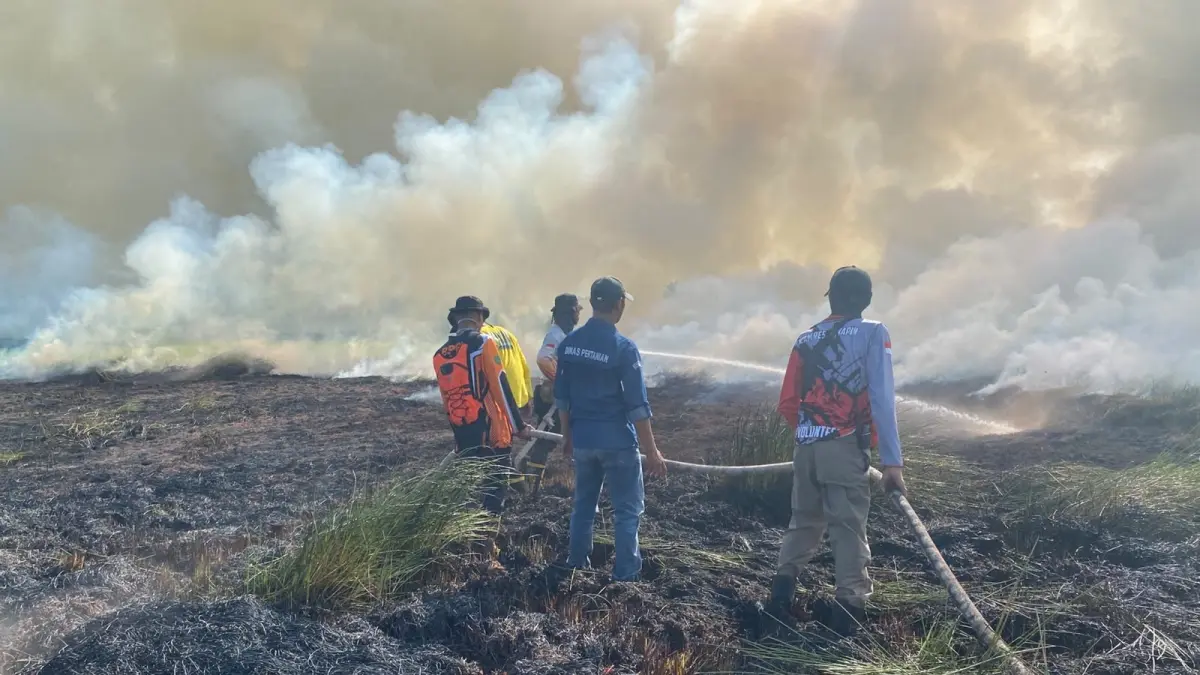 PADAMKAN: Personel gabungan memadamkan kebakaran semak belukar seluas sekitar dua hektare di Kelurahan Raya Belanti, Kecamatan Binuang, Kabupaten Tapin, Senin (20/7/2026). (Foto: Pusdalops BPBD Tapin)
