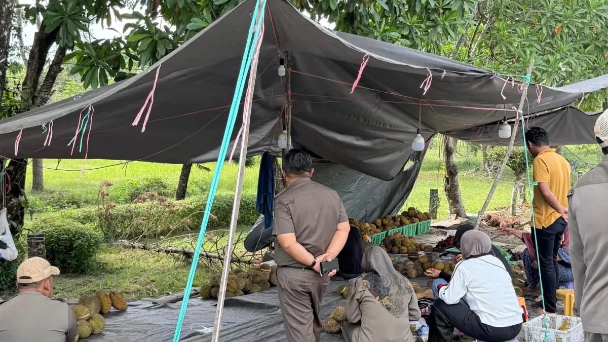 DITEGUR: Petugas Satpol PP Tanah Bumbu memberikan teguran dan edukasi kepada pedagang durian yang membuka lapak semi permanen di kawasan Taman Gedung Kapet, Kecamatan Simpang Empat. (Foto: Satpol PP Tanah Bumbu untuk Radar Banjarmasin)
