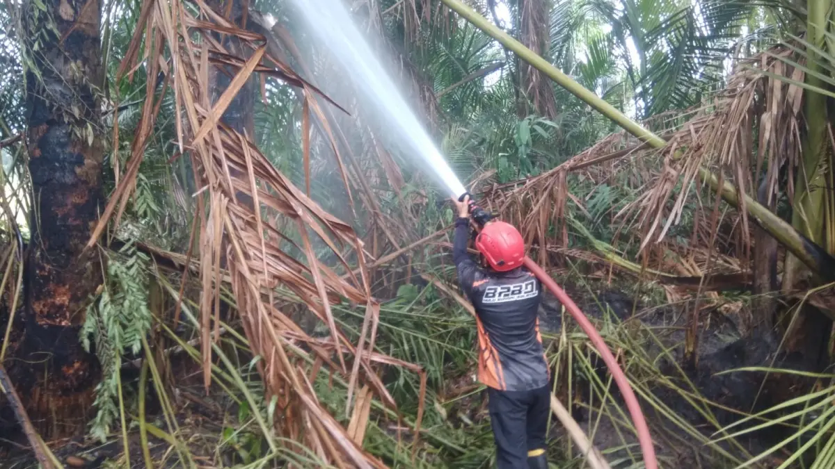 PEMADAMAN: Petugas gabungan memadamkan kebakaran hutan sagu di Jalan Tangkawang, Desa Simpur, Kecamatan Simpur, Kabupaten Hulu Sungai Selatan, Rabu sore (22/7/2026), sebelum api merembet ke permukiman warga. (Foto: BPBD HSS/Radar Banjarmasin)
