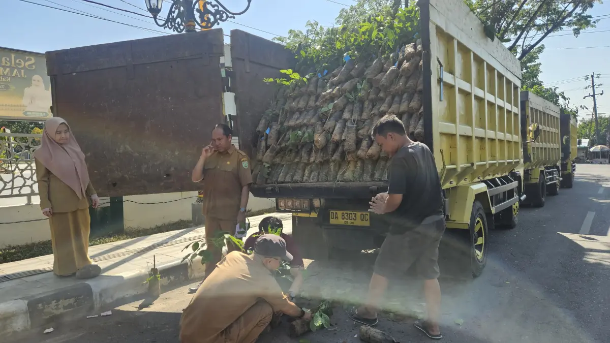 PENYALURAN BIBIT: Proses bongkar muat puluhan ribu bibit karet dari atas truk untuk diserahkan kepada kelompok tani di Kabupaten Balangan. (Isty untuk Radar Banjarmasin)