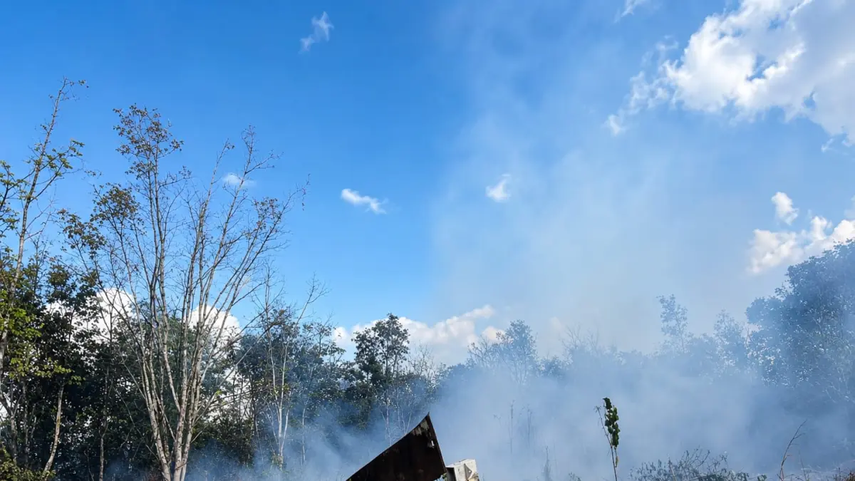 ASAP: Asap mengepul saat kebakaran hutan dan lahan (karhutla) melanda kawasan Batulicin, Kabupaten Tanah Bumbu. BPBD mengimbau masyarakat tidak membuka lahan dengan cara membakar selama musim kemarau. (Foto: PKJR Tanah Bumbu)